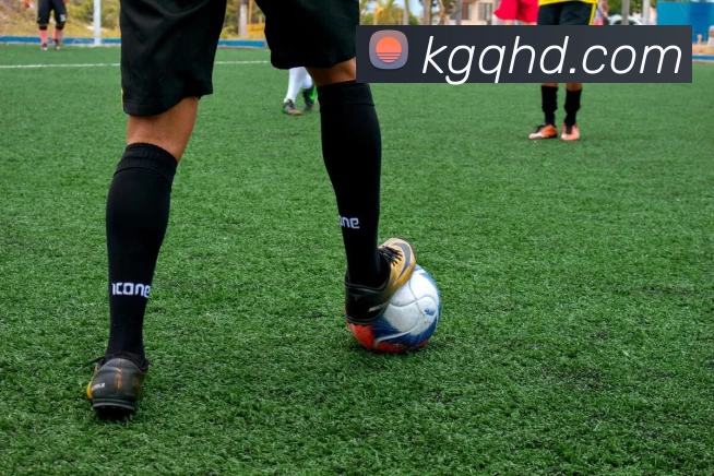 App Interface Preview